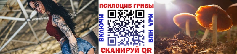 Псилоцибиновые грибы Psilocybine cubensis  Усолье 